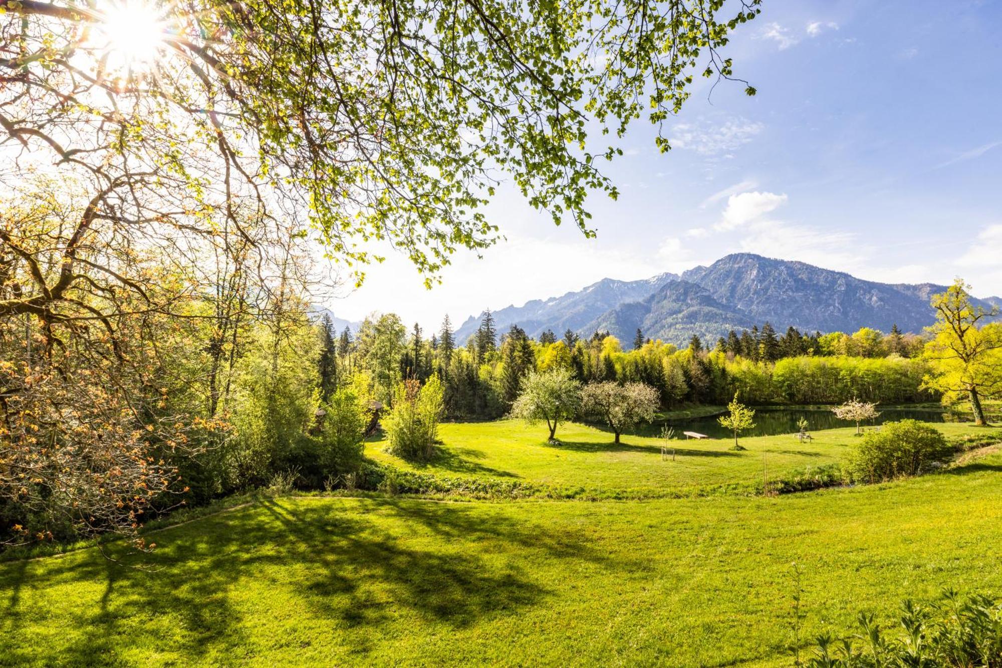 Ferienwohnungen Am Gablerhof バートライヘンハル エクステリア 写真
