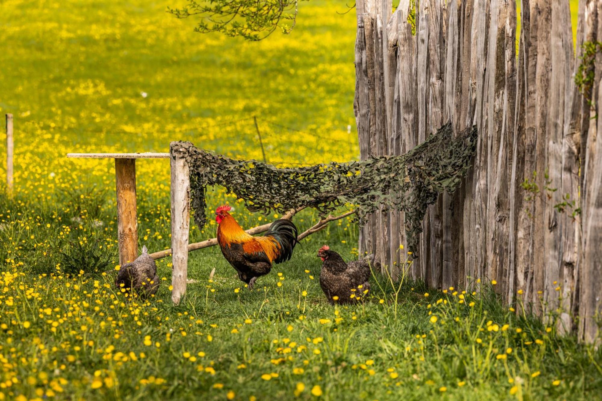 Ferienwohnungen Am Gablerhof バートライヘンハル エクステリア 写真