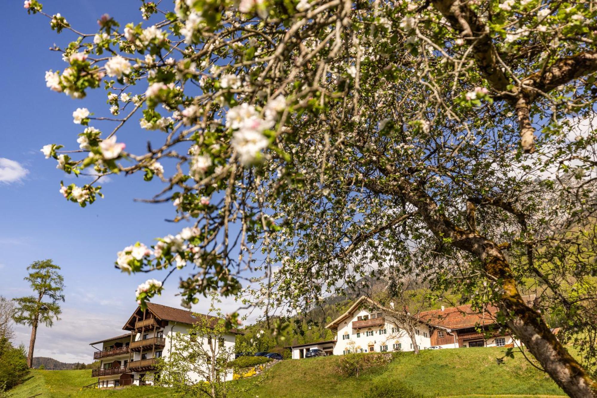 Ferienwohnungen Am Gablerhof バートライヘンハル エクステリア 写真