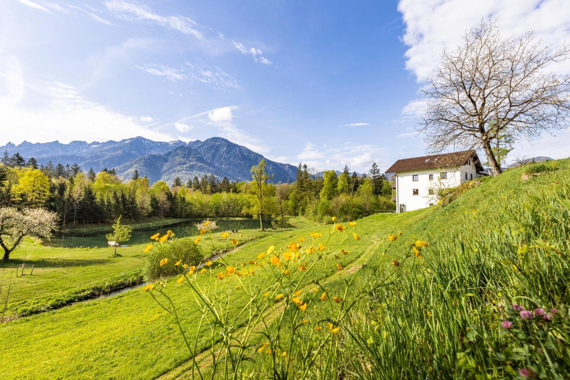 Ferienwohnungen Am Gablerhof バートライヘンハル エクステリア 写真
